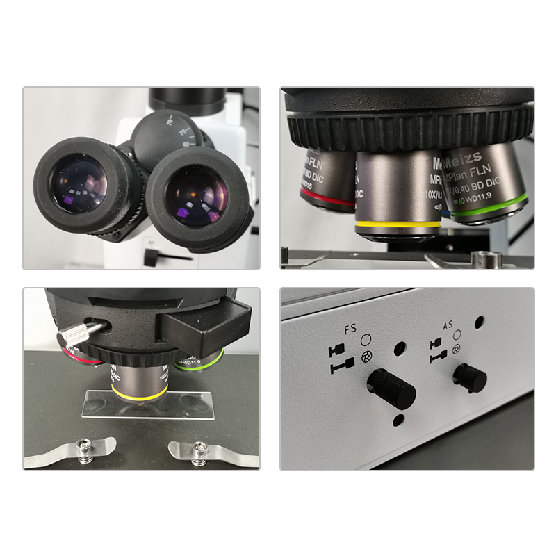 ML9000 Araştırma Seviyesi Dik Mikroskop